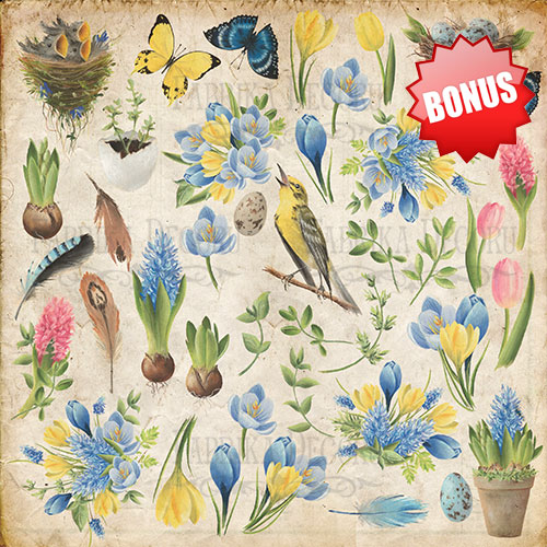 Double-sided scrapbooking paper set Botany Spring 8"x8", 10 sheets - foto 10