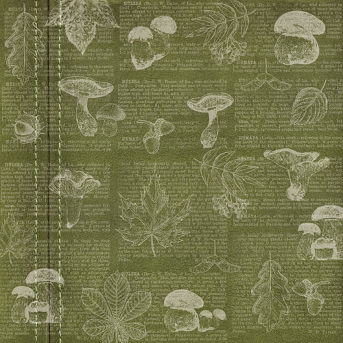 Blatt doppelseitiges Papier für Scrapbooking Autumn botanical diar #58-02 12"x12" - foto 0  - Fabrika Decoru