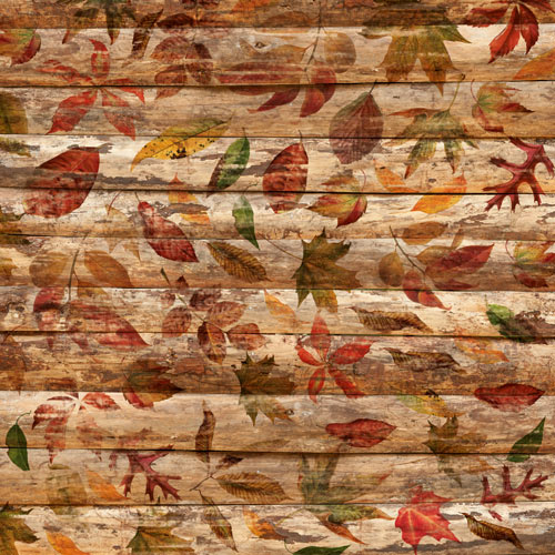 Sheet of double-sided paper for scrapbooking Autumn botanical diary #58-04 12"x12" - foto 0