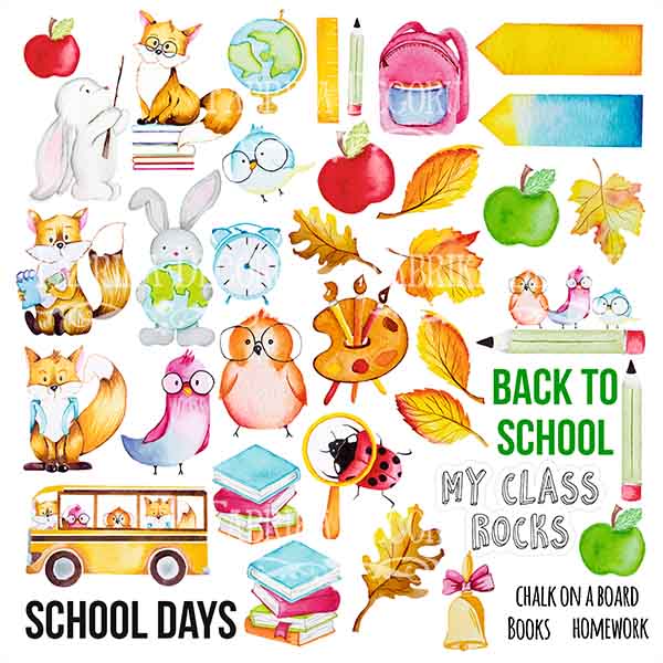 Double-sided scrapbooking paper set  Cool school 8"x8", 10 sheets - foto 11
